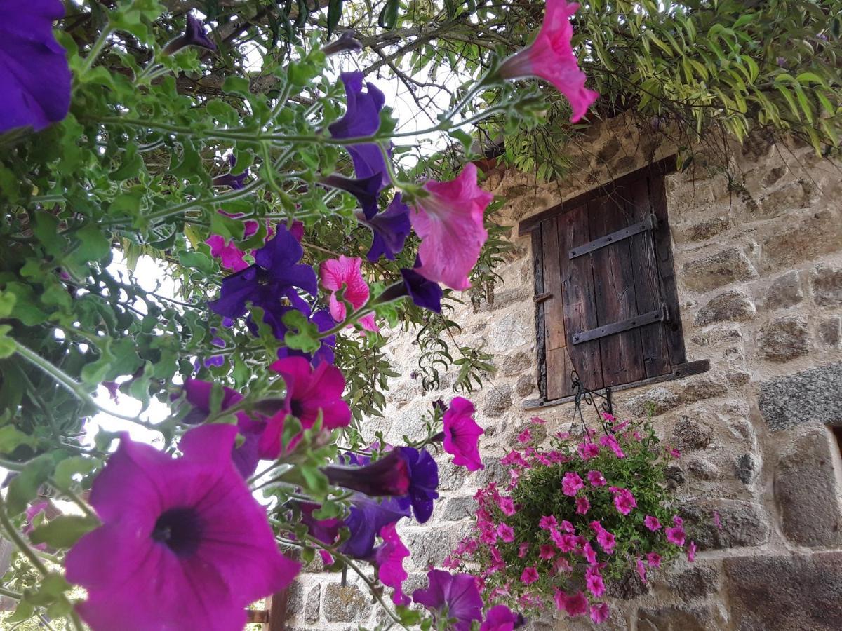 La Belle Ame Bed and Breakfast Saint-Priest-des-Champs Buitenkant foto