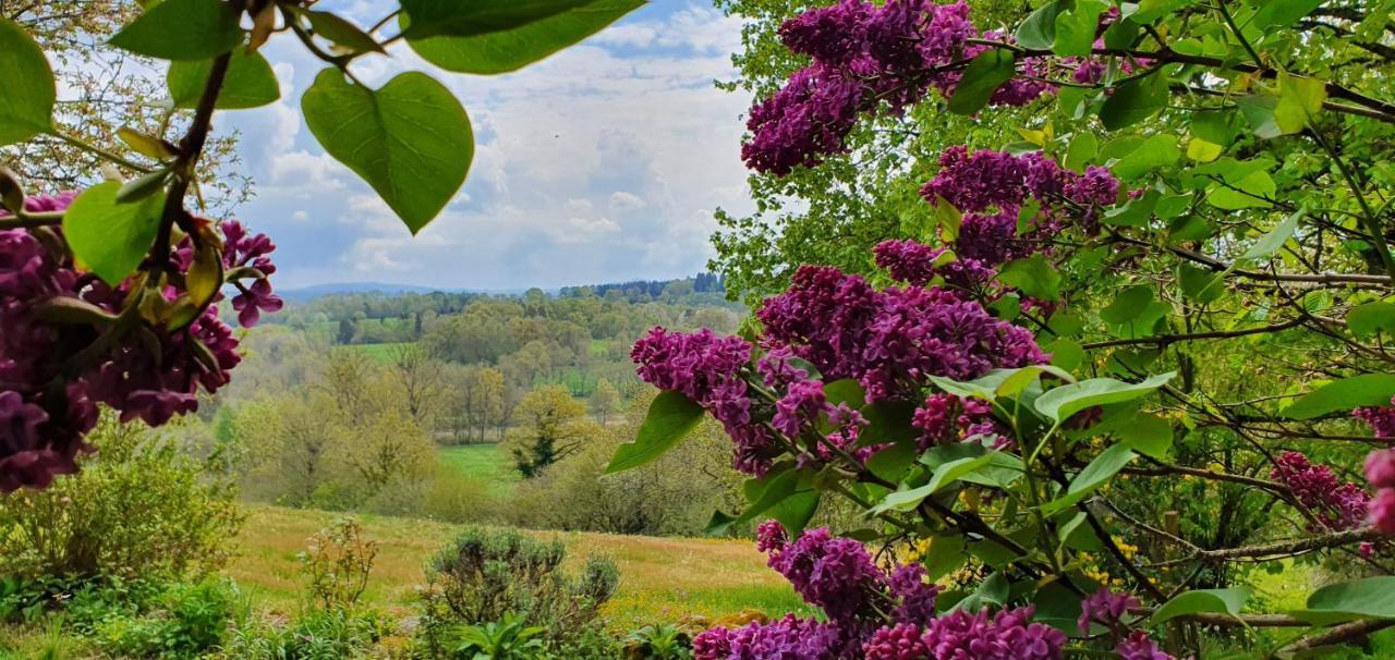La Belle Ame Bed and Breakfast Saint-Priest-des-Champs Buitenkant foto